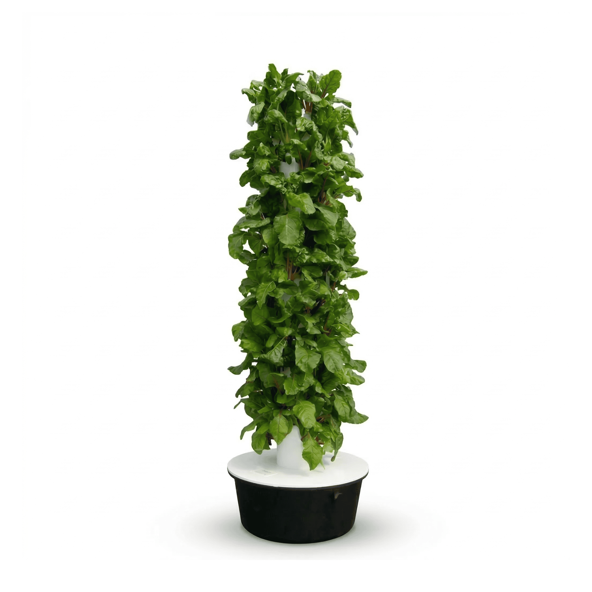 Vertical Hydroponics