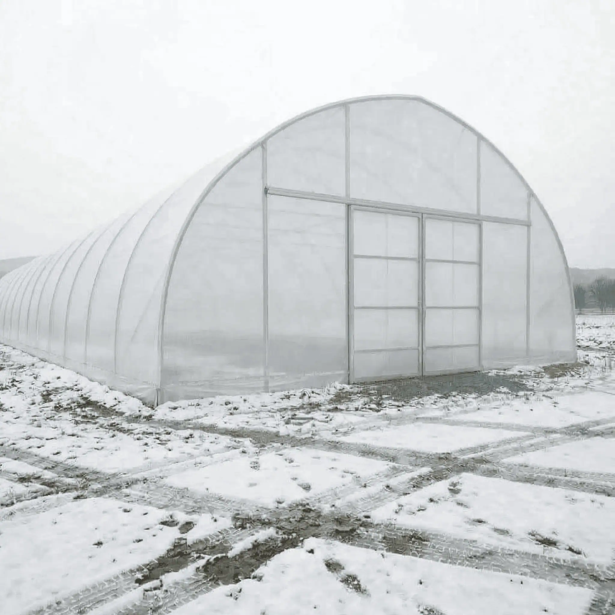 Hoop Tunnel Standard