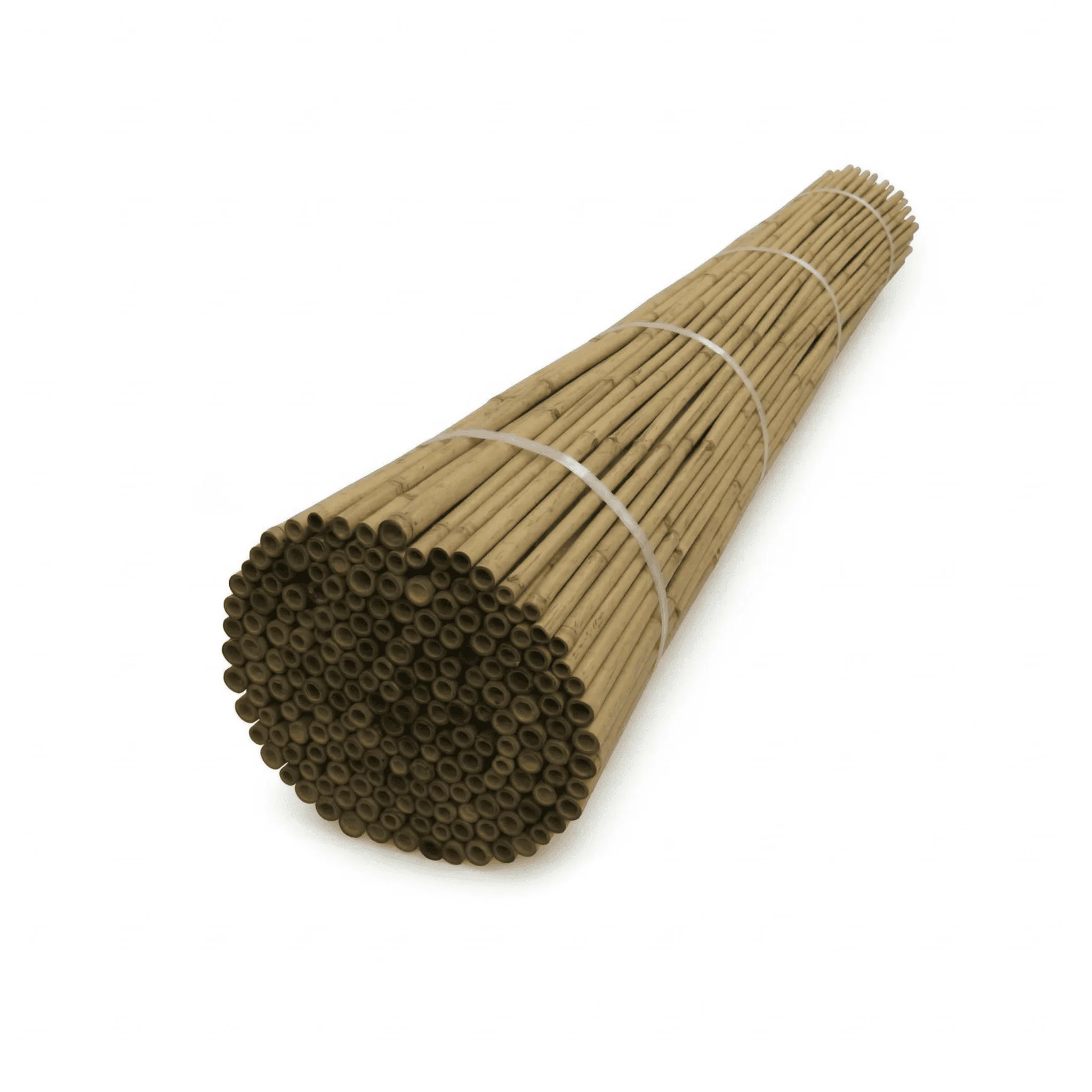 Tall Bamboo Stakes